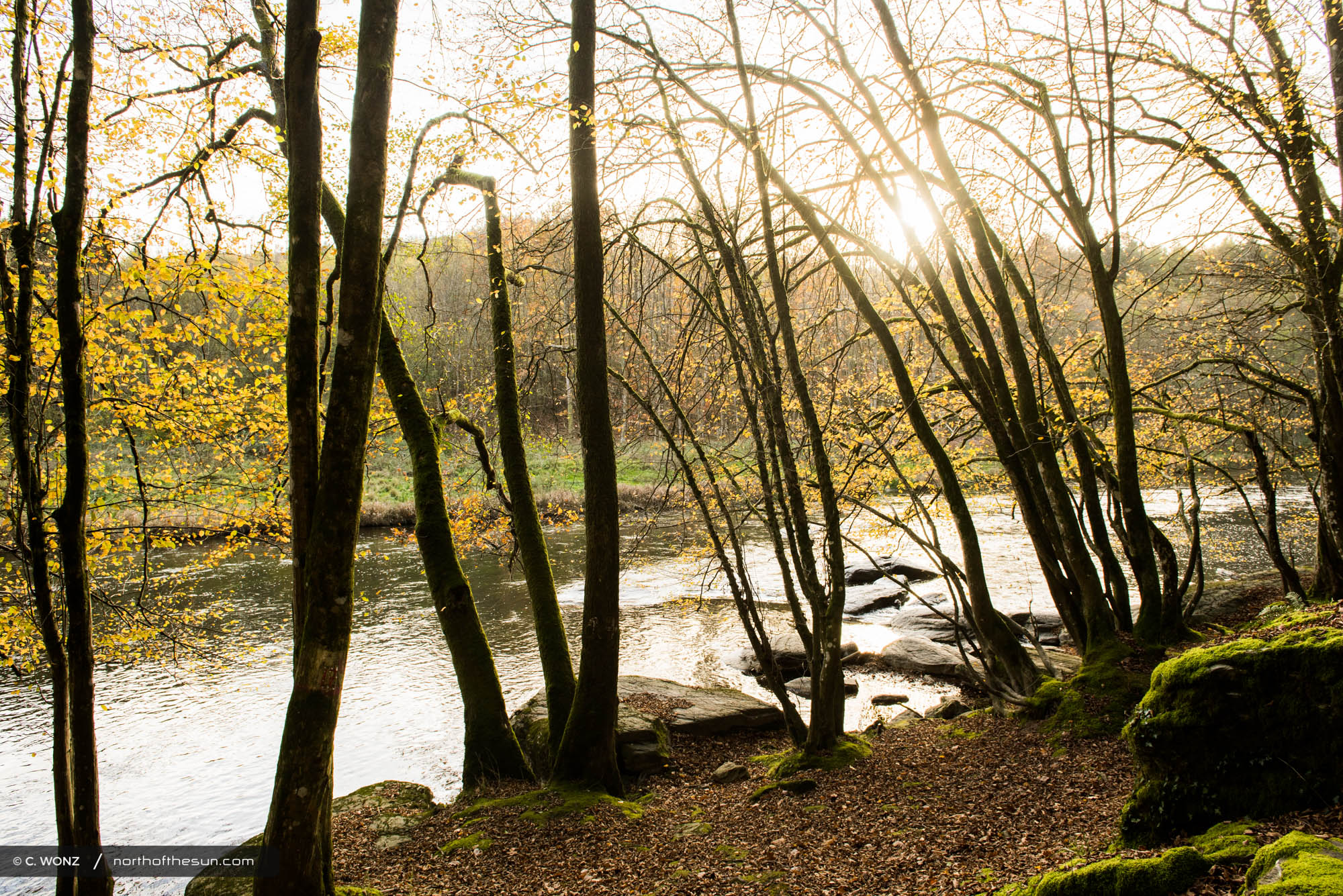 Autumn, Bouillon, Belgium, Orange leaves