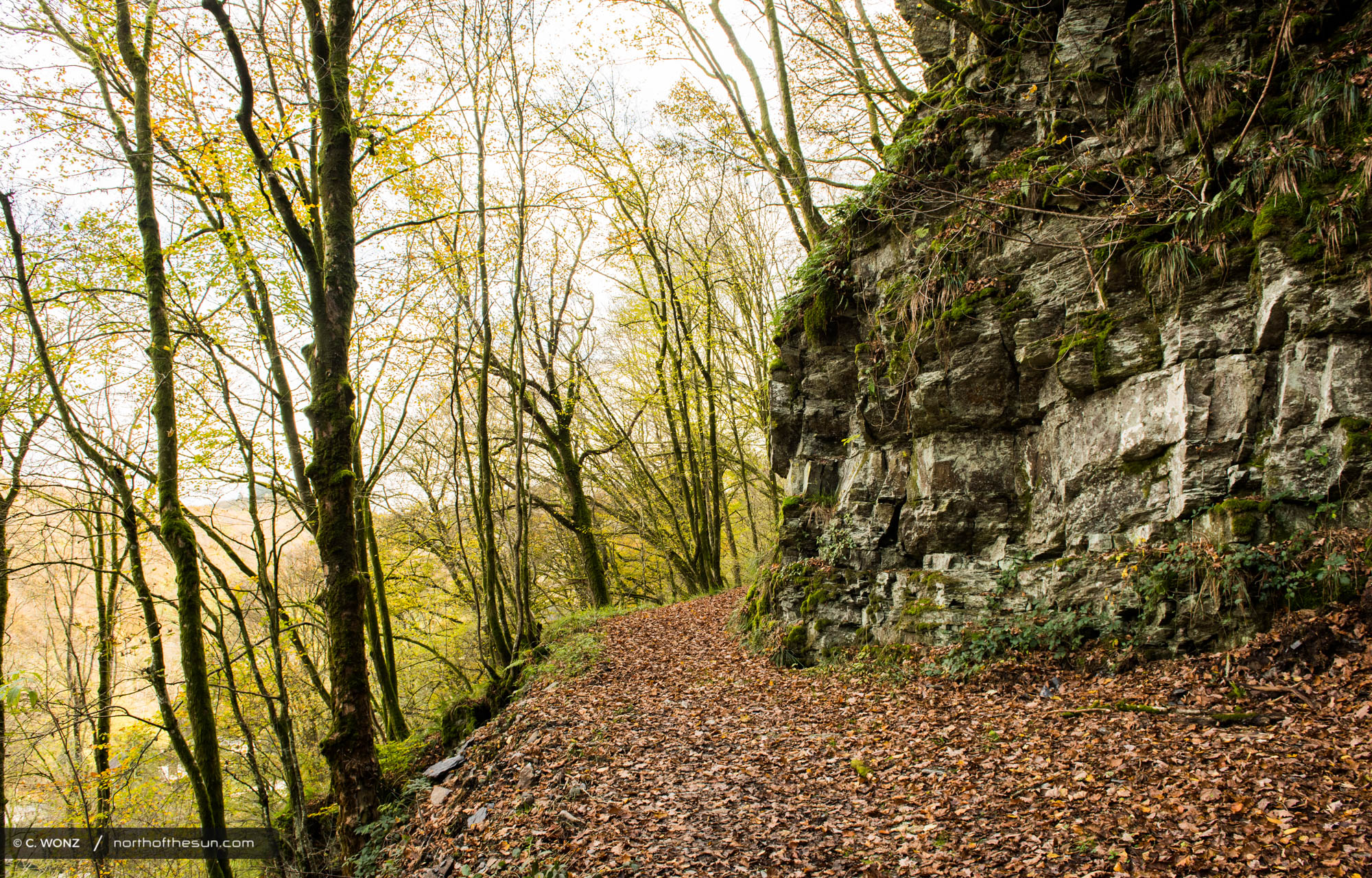 Autumn, Bouillon, Belgium, Orange leaves