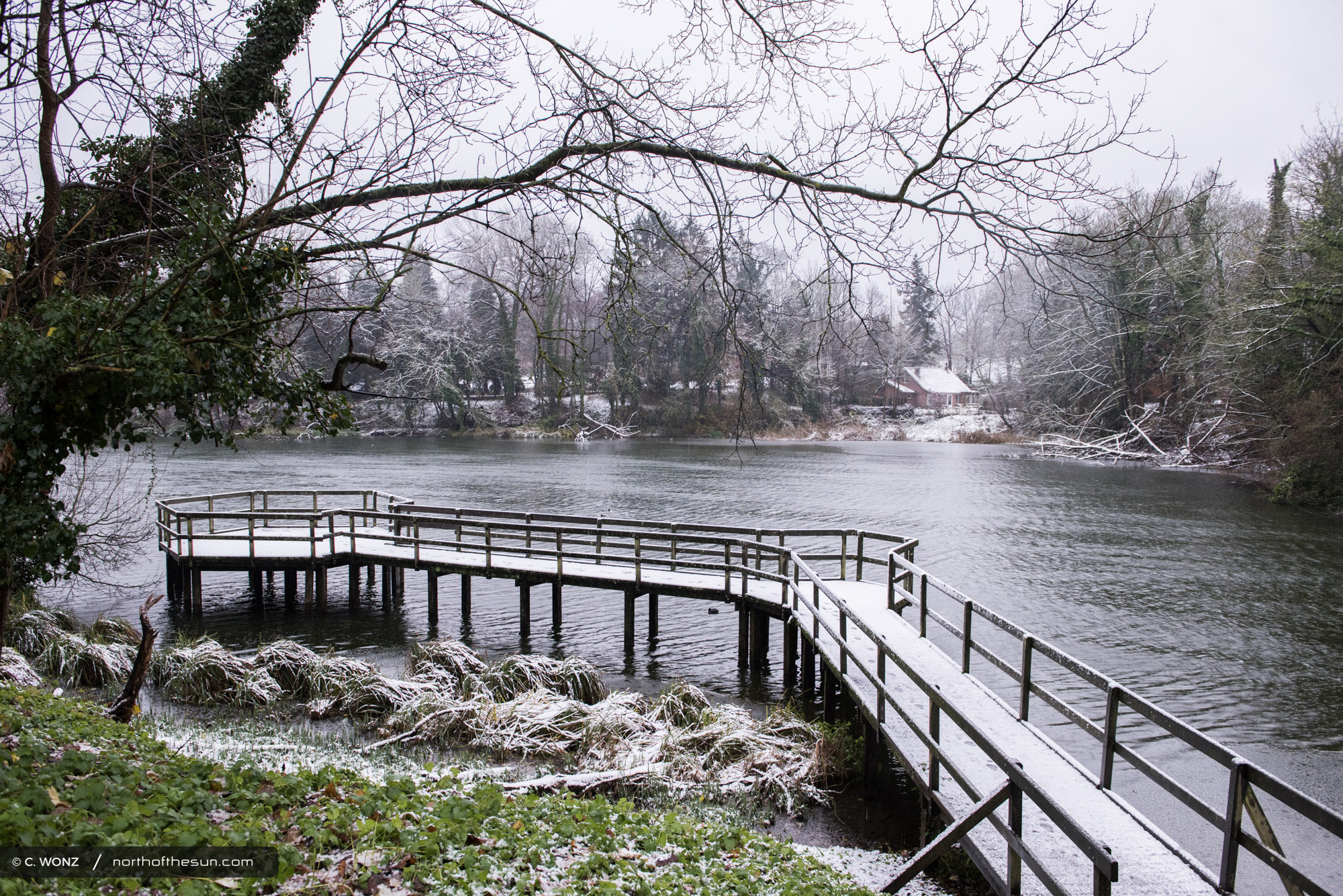 Winter, Brussels, Wood, Forest, Snow, November