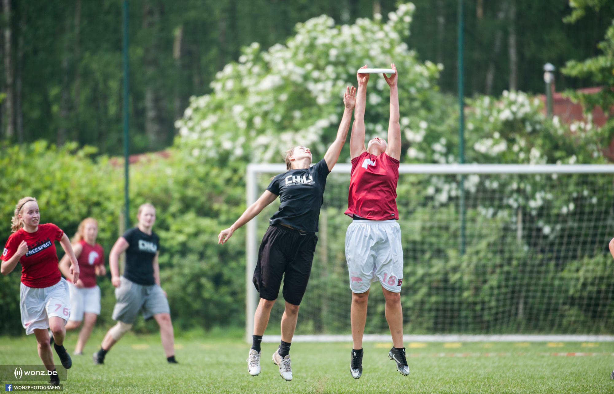 Belgian Ultimate Outdoor Championships (Open and Woman) by wonz.be