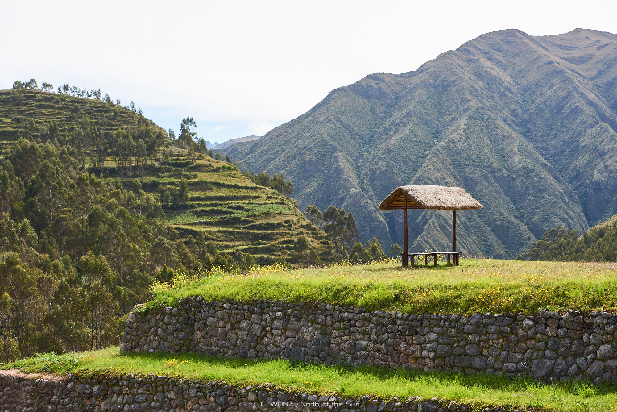 Peru, nature, wildlife