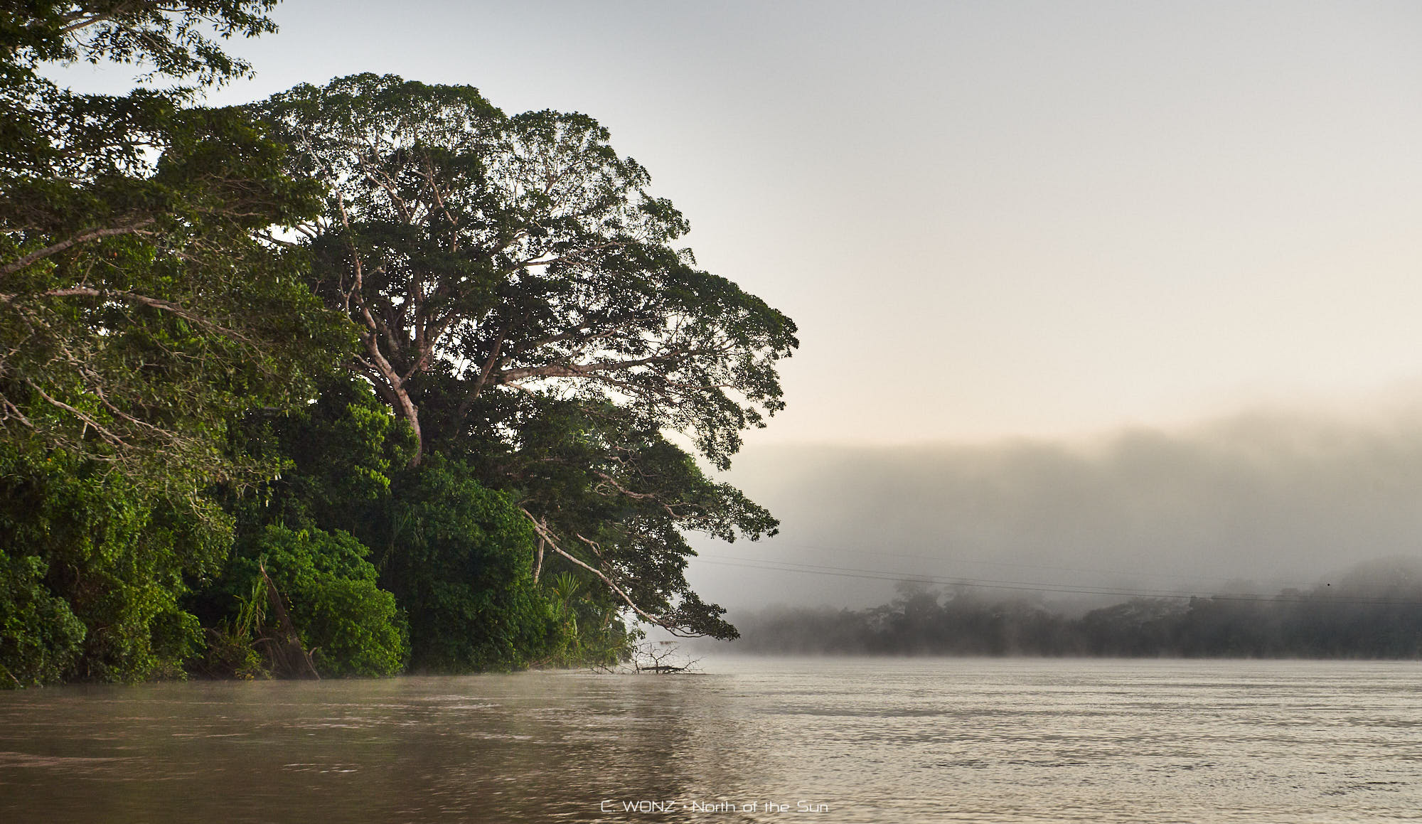 Peru, nature, wildlife