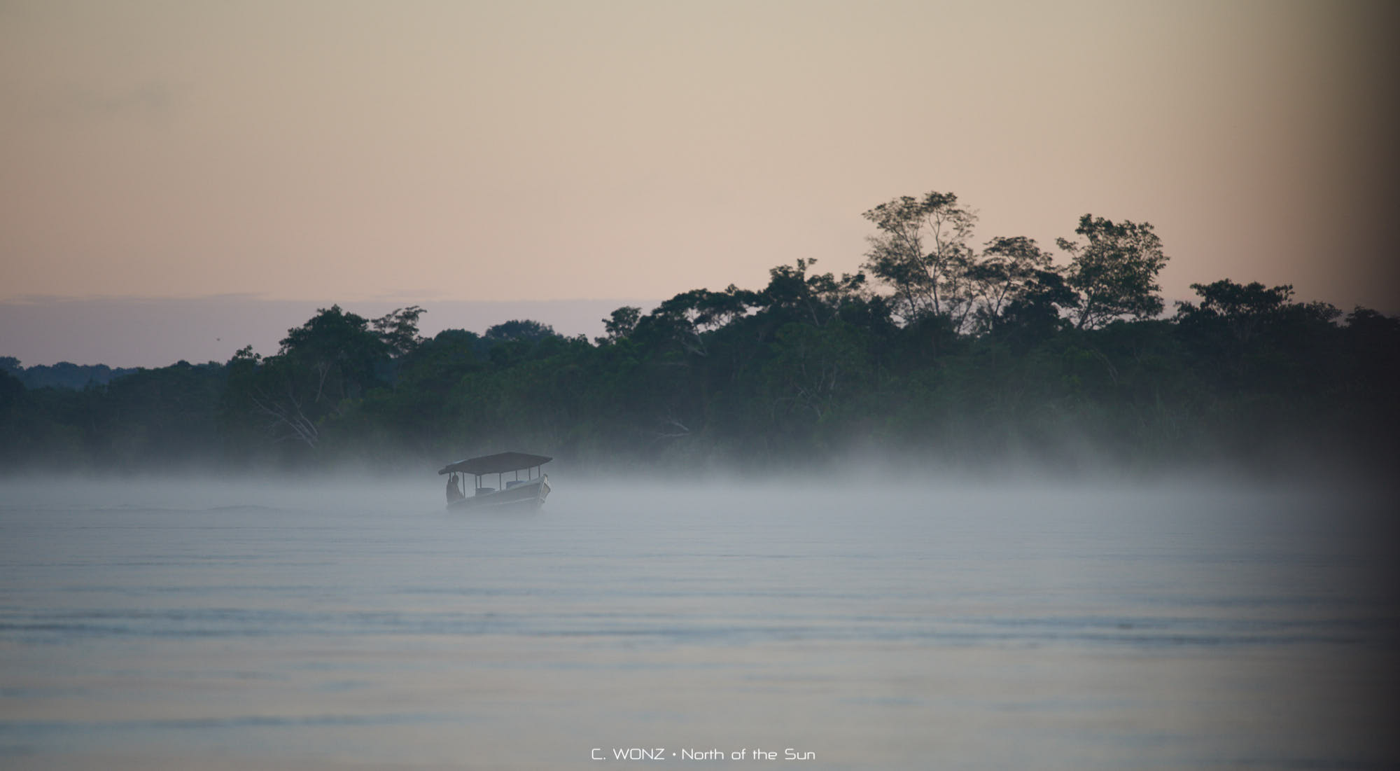 Peru, nature, wildlife