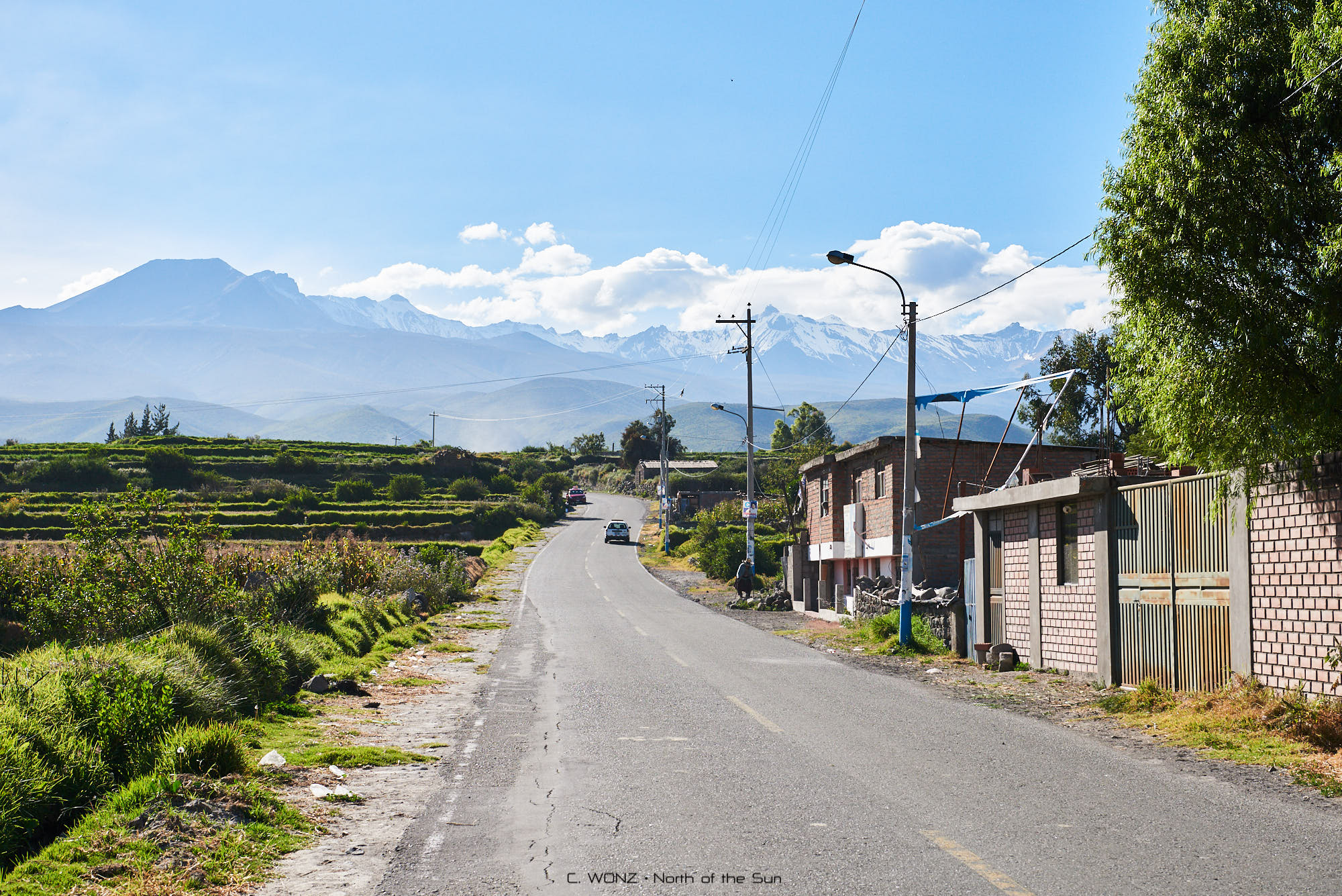 Peru, nature, wildlife