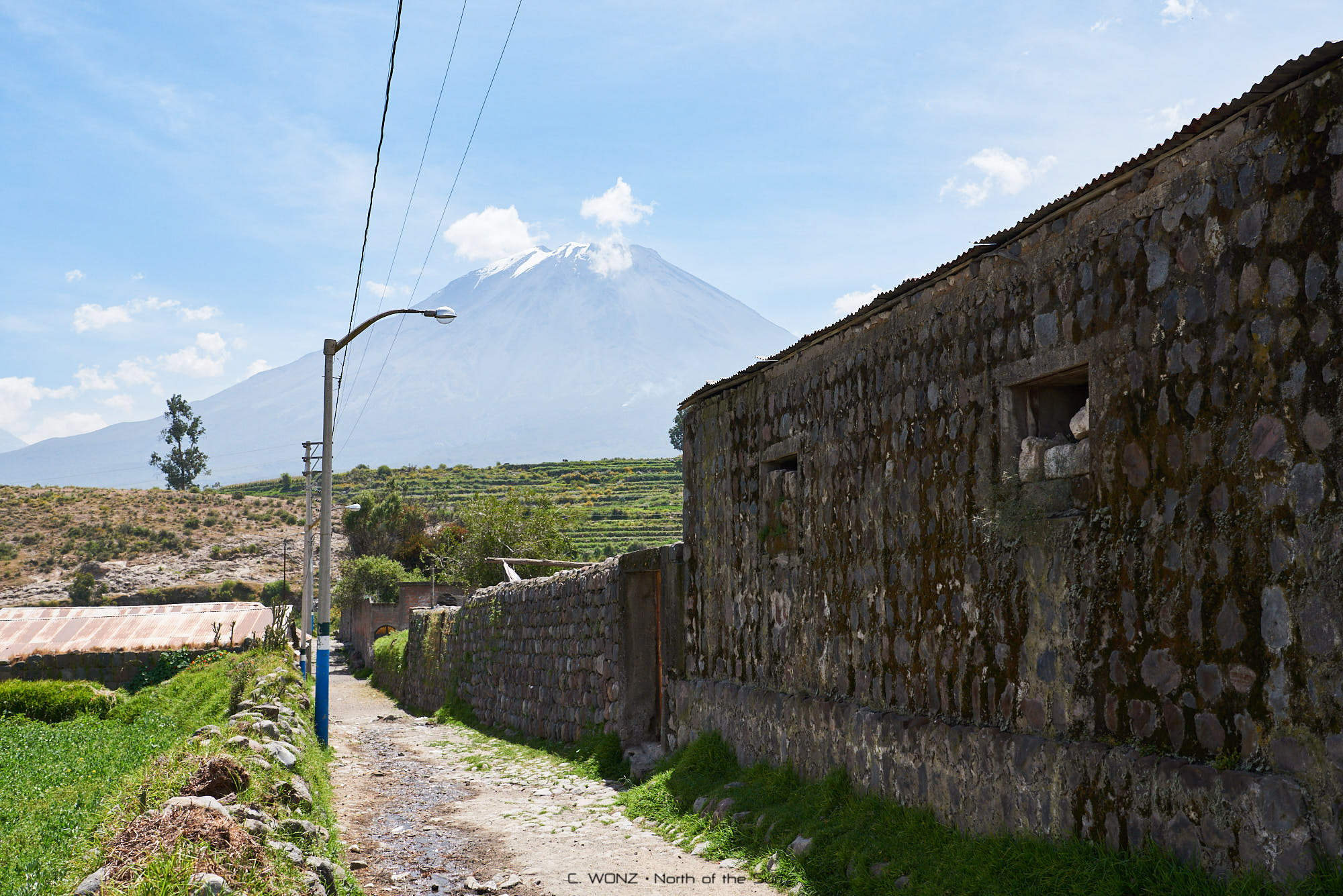 Peru, nature, wildlife