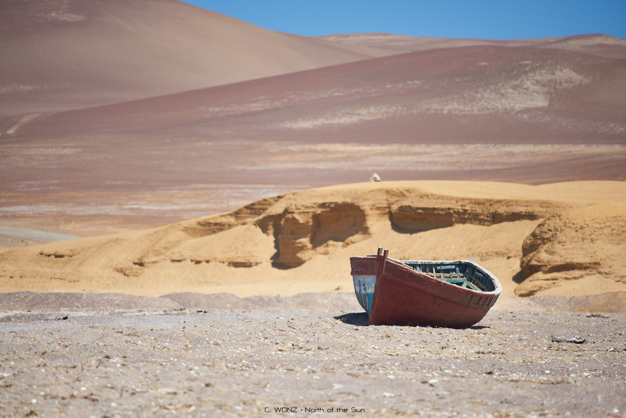 Peru, nature, wildlife