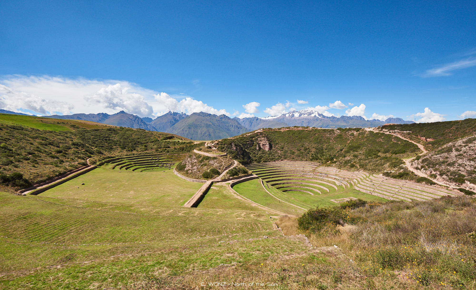 Peru, nature, wildlife