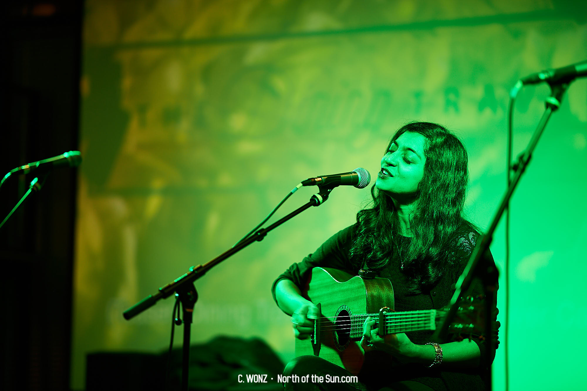 Raoul Van Kiete Belgian Integration Party - Concert - by C. Wonz North of the Sun Photography